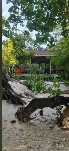 Palian House | Baan Ya-Nhom
