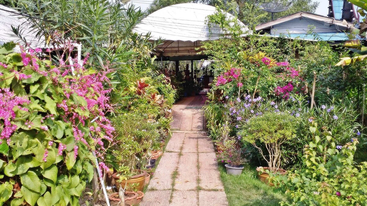 Amphawa House | Baanbon Homestay