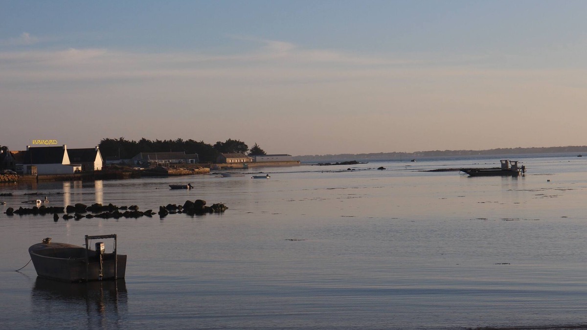 Morbihan Apartment | "Babord" PRETTY apartment with sea view and access to the BOUT DU MONDE