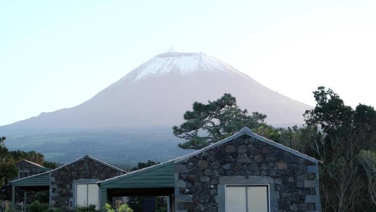 Sao Roque do Pico House | Bacchus Vineyard One Bedroom