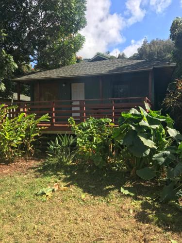 Pupukea Hotel | Backpackers Vacation Inn and Plantation Village