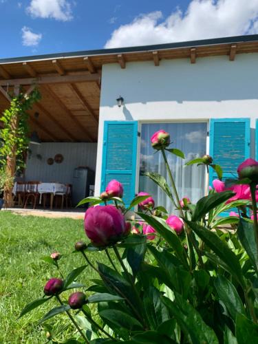Sebes Bed & Breakfast | Backyard Cottage