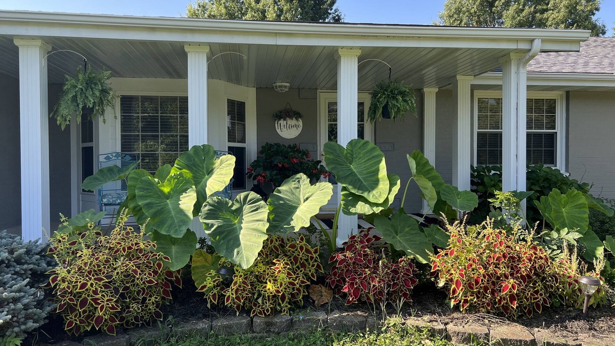 Defiance House | BACKYARD OASIS! Cozy and charming 60s Brick ranch with relaxing gazebo over pond
