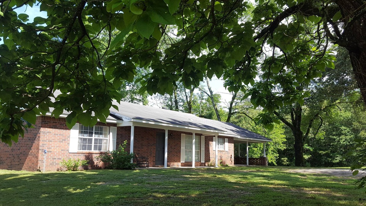 Story House | Backyard splendor!