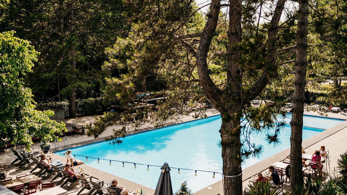 Rockanje Hotel | Badhotel Rockanje & Brasserie Lodgers