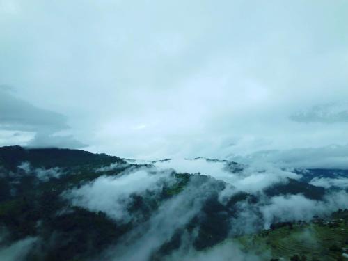 Almora House | Badriniwas homestays