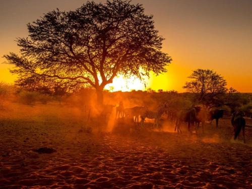 Mariental Hotel | Bagatelle Kalahari Boutique Farmhouse Lodge