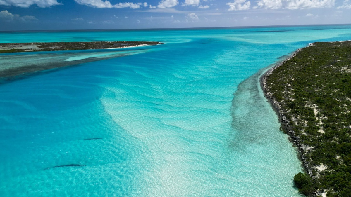 Morris Settlement Cottage | Bahamas Beachfront Escape: Luxury Palmirage Cottage, Pets OK!