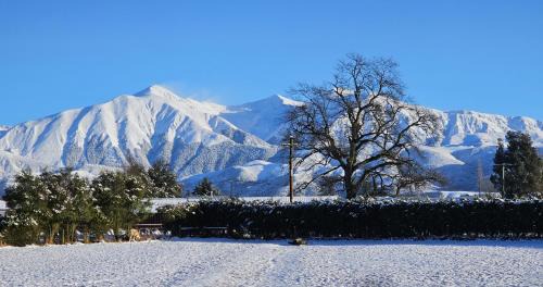 Springfield Bed & Breakfast | Bahara Accommodation