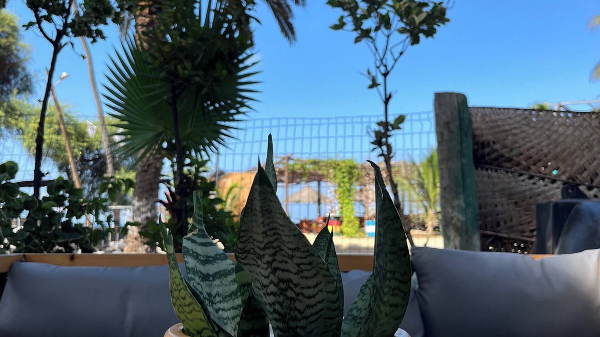 Tarrafal Hotel | Baia Verde Resort Tarrafal