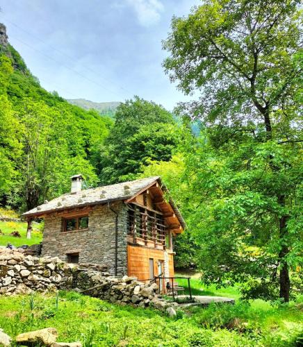 Mollia Ski Chalet | Baita del noce