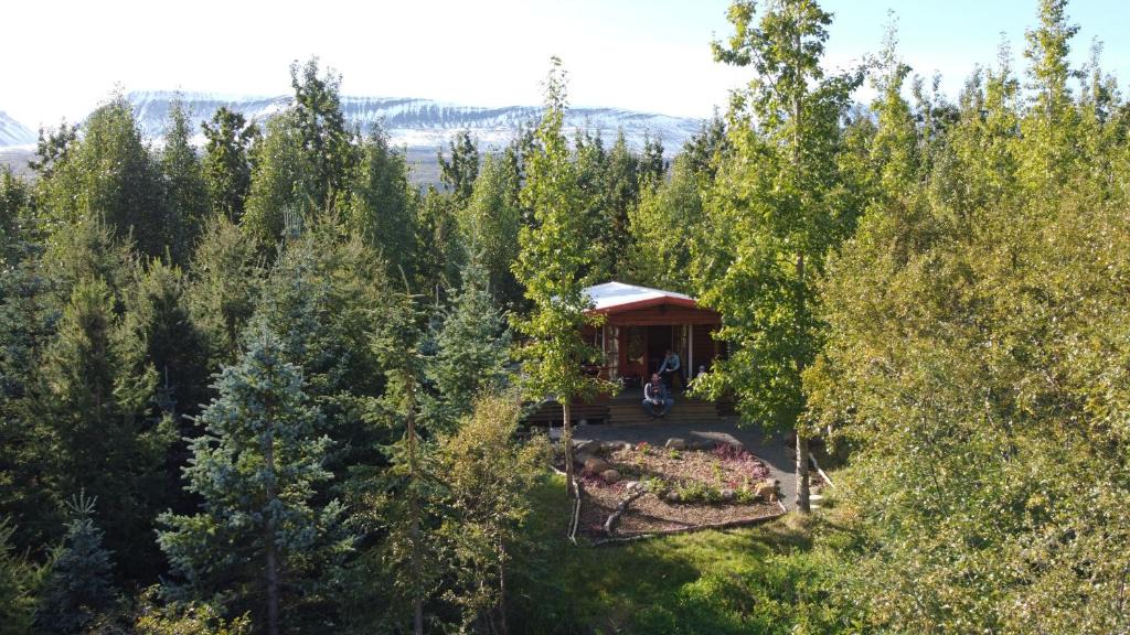 Hauganes Cabin | Bakkakot 1 - Cozy Cabins in the Woods