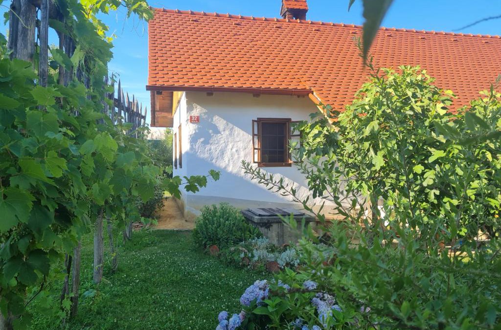 Moravske Toplice House | Balajceva domačija - Moravske Toplice