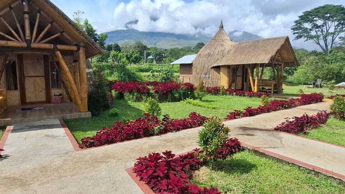 Bayan Bed & Breakfast | Bale Gantar