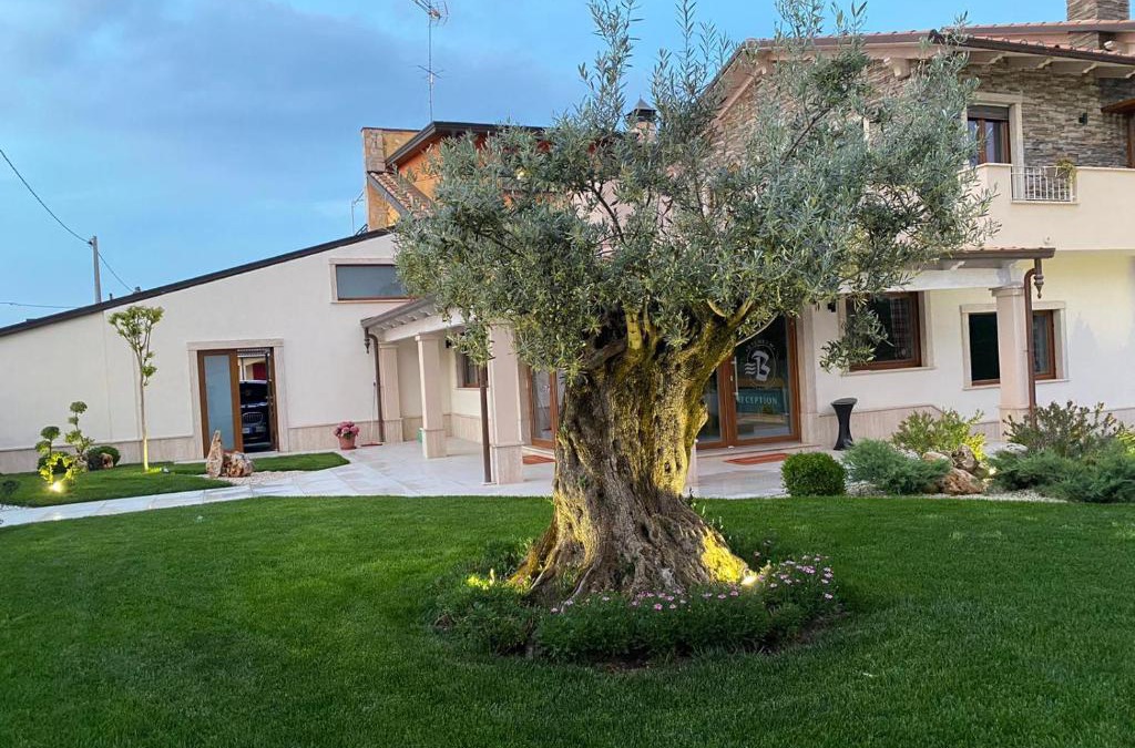 Mirabella Eclano Hotel | Balneum Rooms & SPA
