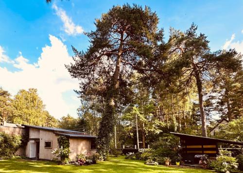 Jurmala Apartment | Baltic Sea Cottage
