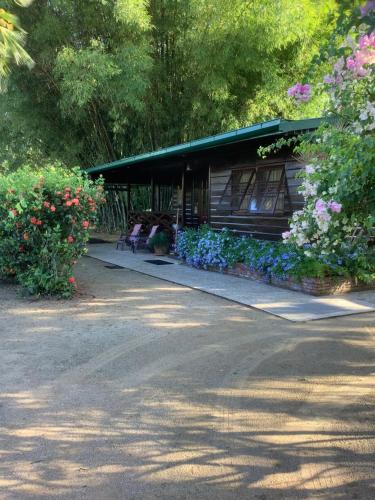 Clevia House | Bamboe