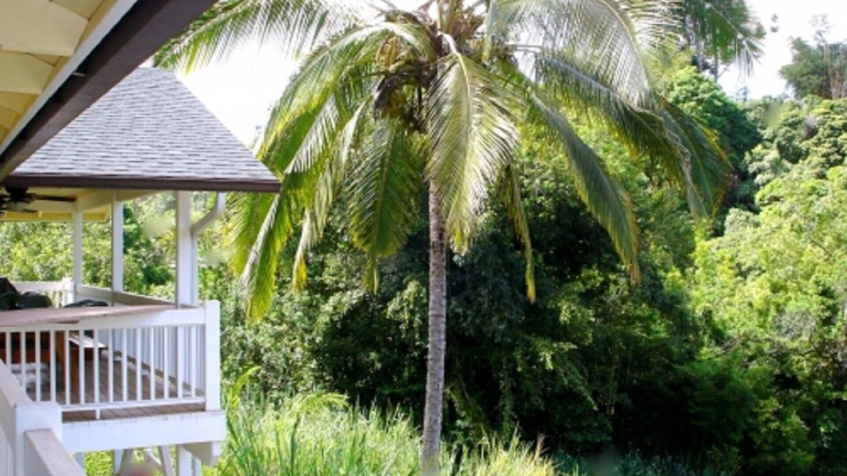 Pauwela House | Bamboo View Suite 2bd 1bth At Bamboo Valley Inn