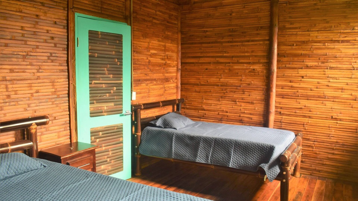 Turrialba Cabin | Bambu house, surrounded by nature, birds and waterfalls.