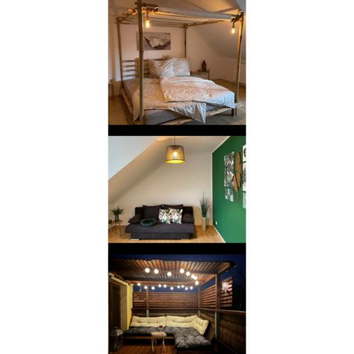 Radebeul Apartment | Bambus, Jungle, Dachterrasse & bequem bis Zentrum