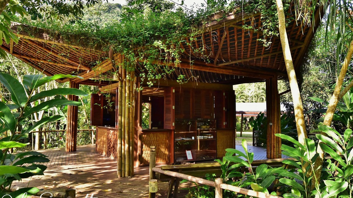 Picinguaba Hotel | Banana Bamboo Ecolodge