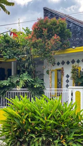 Banyuwangi House | Banana Homestay