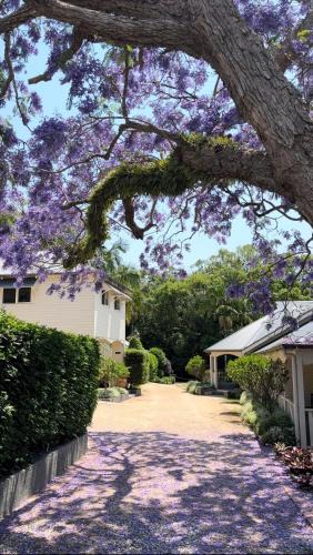 Bangalow House | Bangalow Guesthouse