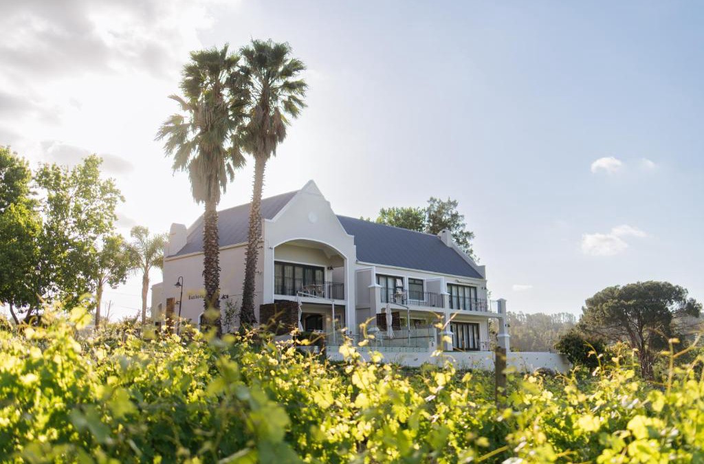 Cape Winelands Cabin | Banhoek Lodge