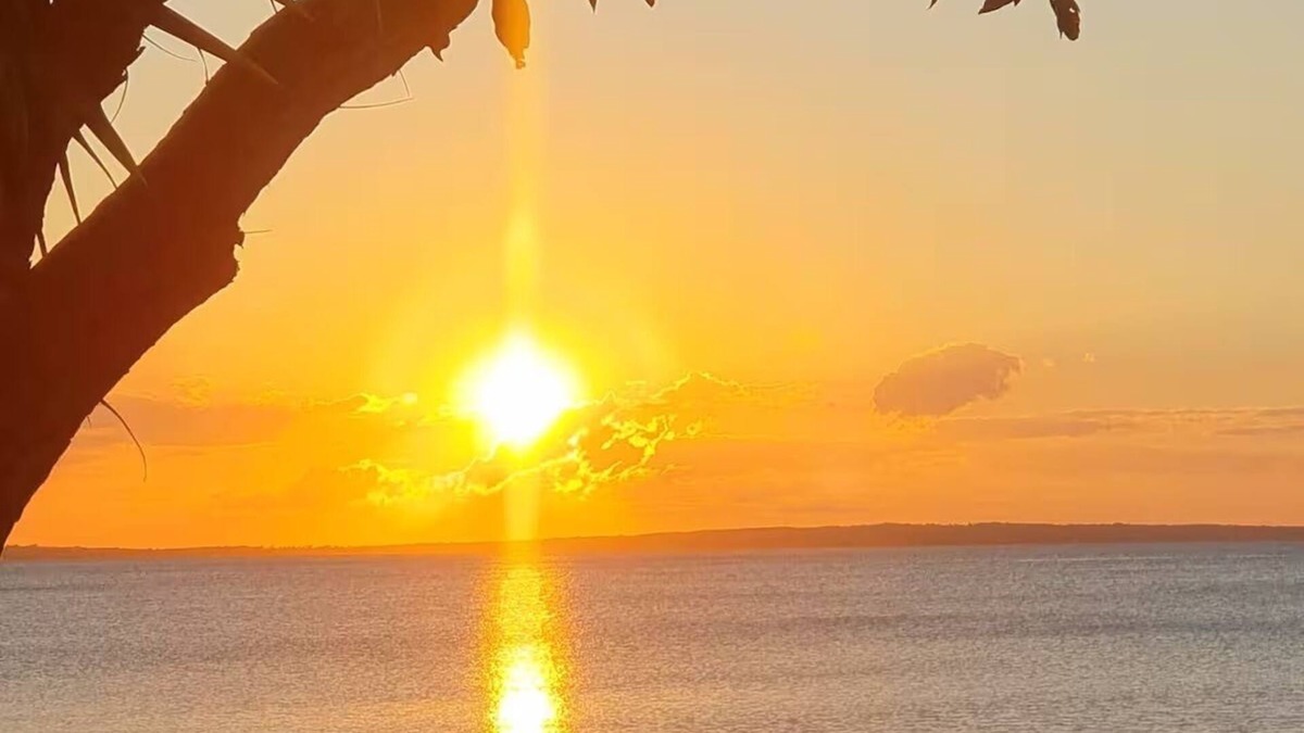 Kingfisher Bay Villa | Banksia Hideaway