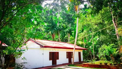 Rumassala House | Banksia Villa