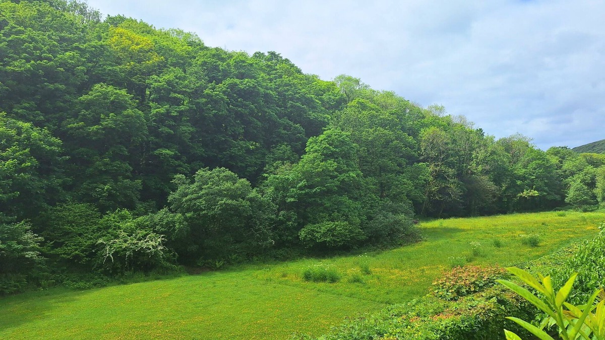 Saint Gennys Cottage | Bantry Cottage, Bude Holidays in Crackington Haven