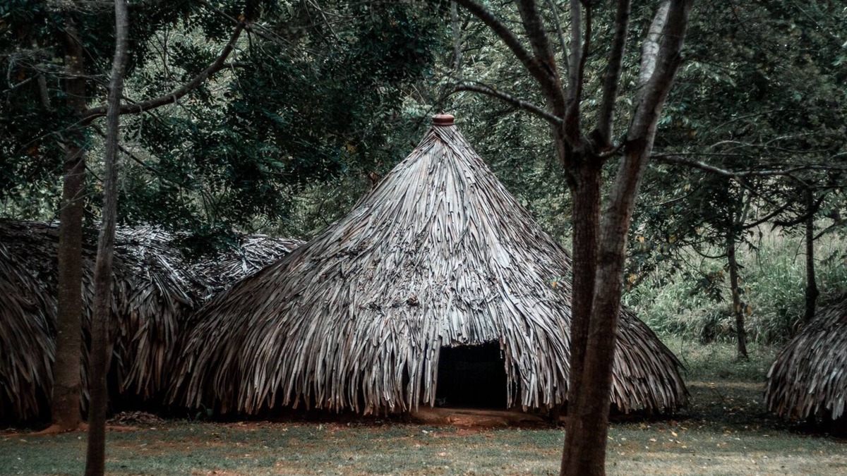 Hambegamuwa Cottage | Banyan Camp Huts Eco Retreat on Full Board Basis