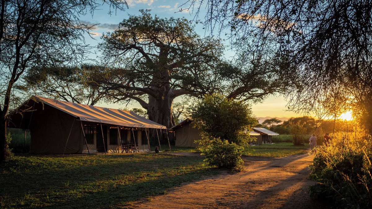 Tarangire National Park RV Rental | Baobab Tented Camp