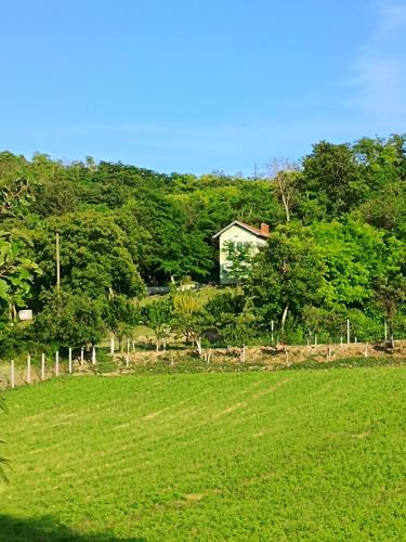 Draz Apartment | Baranja green peace
