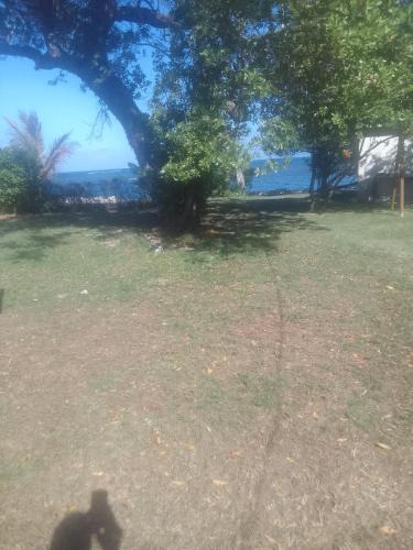 Sandy Bay Bed & Breakfast | Barbican Beach Front