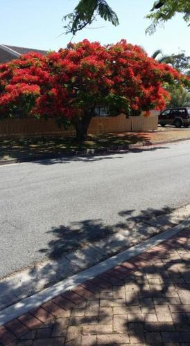 Clontarf Bed & Breakfast | Baringa Bed & Breakfast