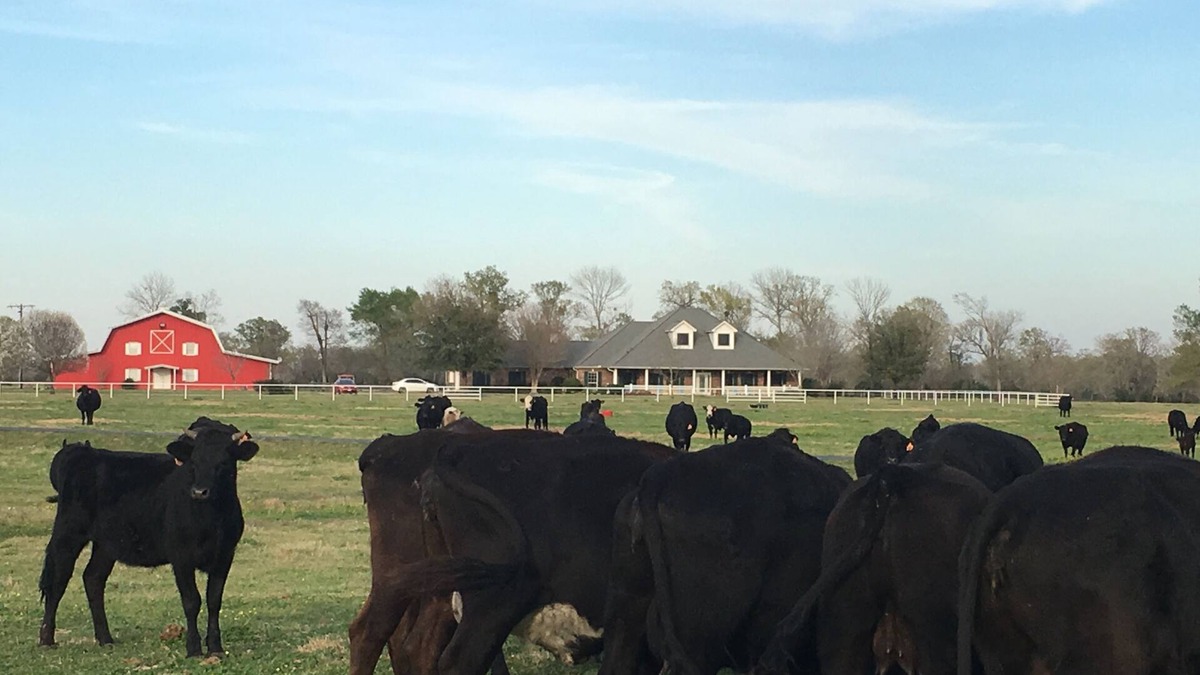Normangee House | Barn atopia Ranch A&M UT Dallas Houston College Station Austin Huntsville