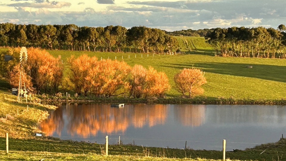 Port Campbell House | Barn Loft with sweeping ocean and farm views, near Port Campbell and 12 Apostles