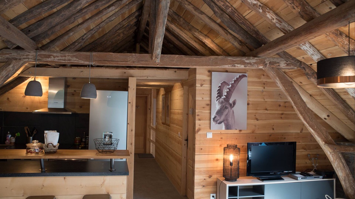 Montauban-de-Luchon Ski Chalet | Barn "The Castanier"
