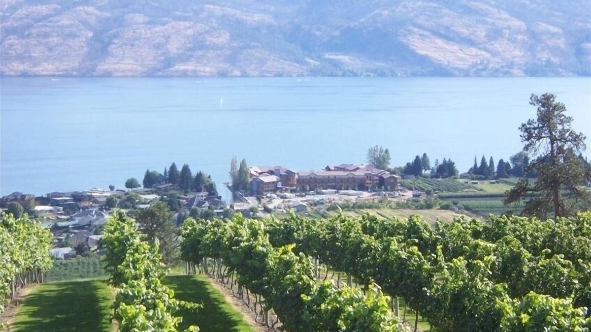 Westbank House | Barona Beach Lakefront Luxury in front of world class wineries