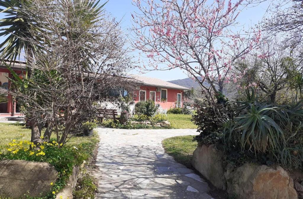 Librizzi House | Barone Montefeo