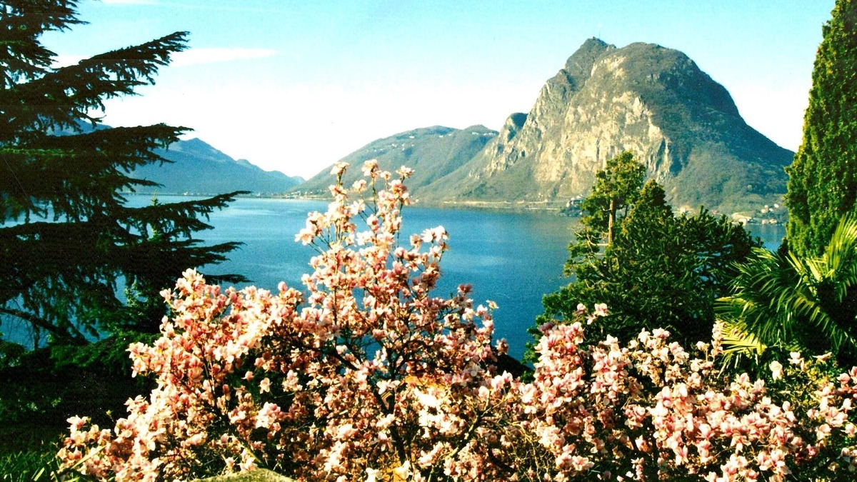 Castagnola Apartment | Barony "Violetta" near Castagnola lake, pool, air n conditioning, parking
