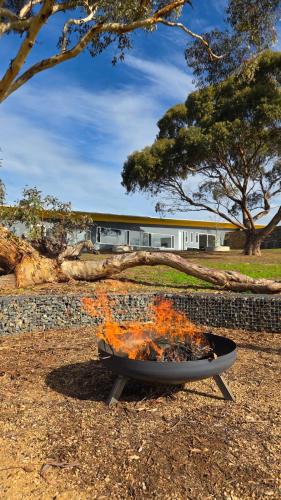 Lyndoch Ski Chalet | Barossa Pavilions & Glasshouse