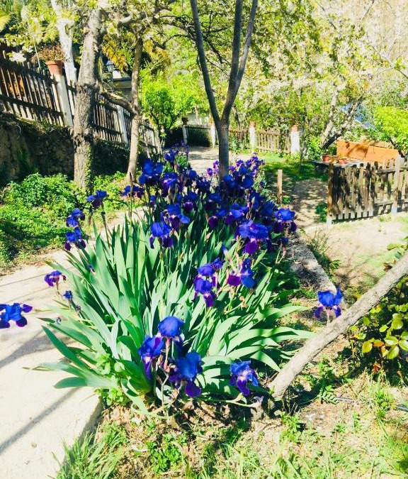Laroles House | Barranco de la Salud