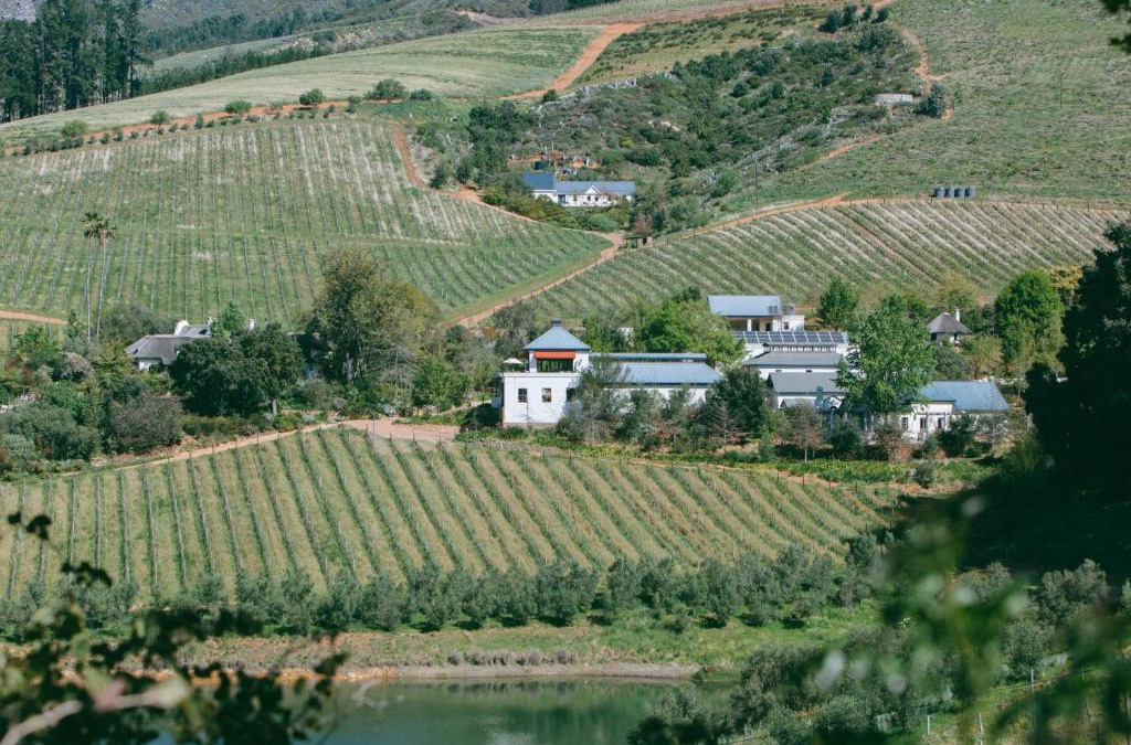 Cape Winelands Apartment | Bartinney Private Cellar Banhoek