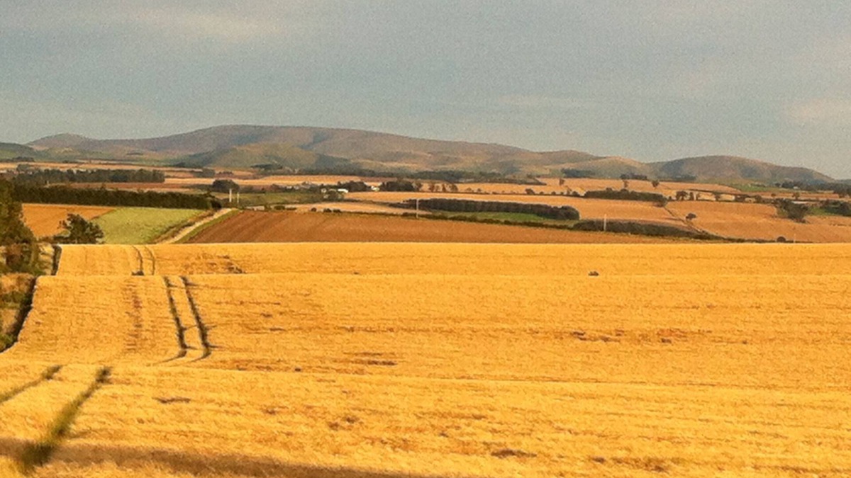 Coldstream Cottage | Bartlehill Cottage, Idyllic Pet Friendly Cottage, Beautiful Scottish Borders