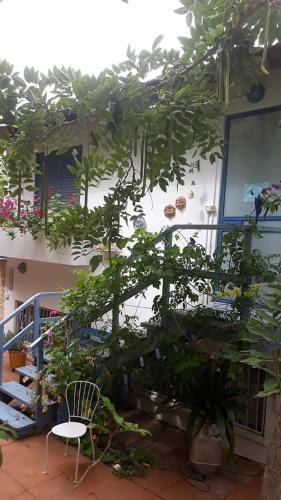 Gedera House | Barud Gedera Israel