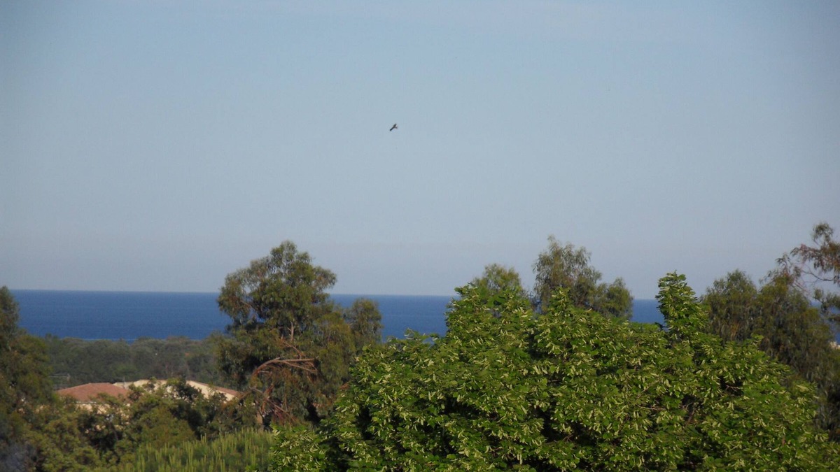 Folelli Villa | Bas de Villa and its private area close to beaches and rivers