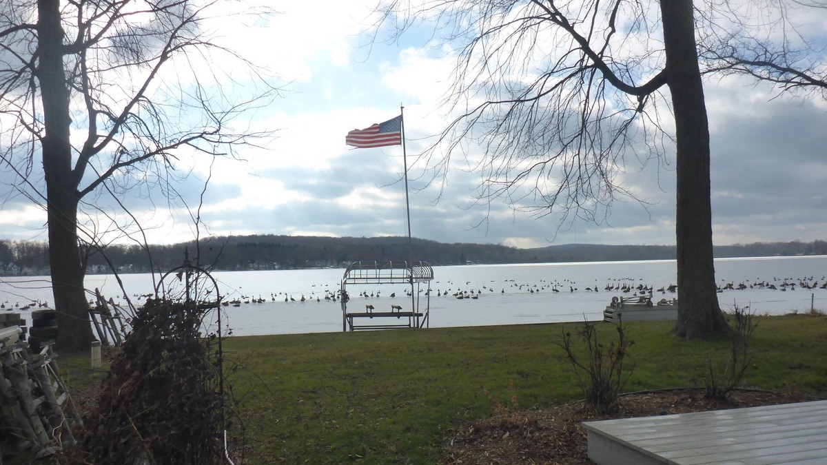 Hamburg Township House | Baseline Lakefront - Beautiful views, shallow swimming area - Huron chain with 7 lakes