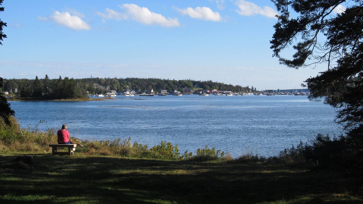 Tremont House | Bass Harbor Oceanfront Chalet: Peaceful, Private, Great On-The-Ocean View